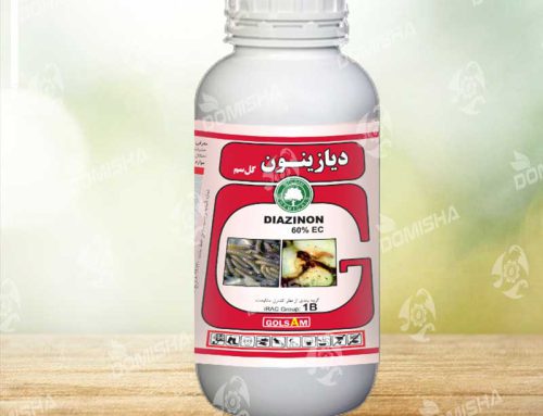 5 روش خرید سم دیازینون در کشور