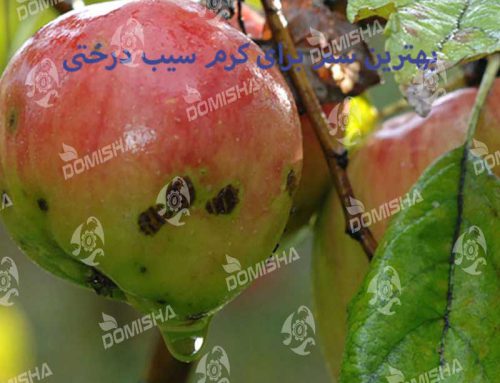 خرید انواع سم کرم سیب ارزان قیمت